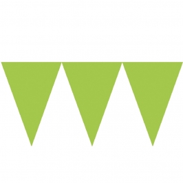 Banderín de Papel Verde Kiwi 4,5 metros