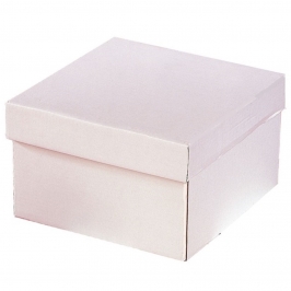 Caja para Tarta Extra Fuerte con Tapa 20 x 20 x 15 cm
