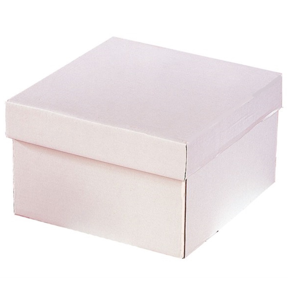 Caja para Tarta Extra Gruesa con Tapa 25 x 25 x 15 cm