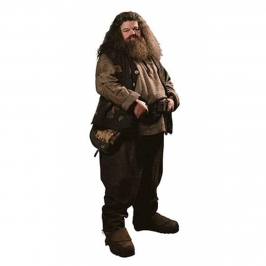 Decoración Photocall Hagrid Harry Potter 195 cm