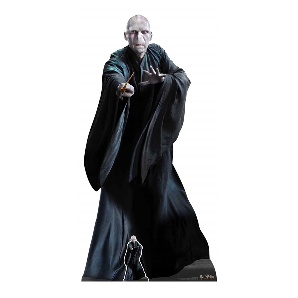 Decoración Photocall Lord Voldemort 184 cm