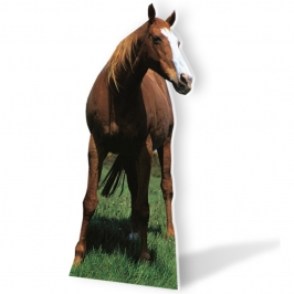 Decoración Photocall Caballo Mustang 190 cm