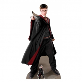 Decoración Photocall Harry Potter Capitán Quidditch 170 cm