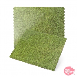Base Rectangular Césped 30 x 25 cm x 3 mm Grosor
