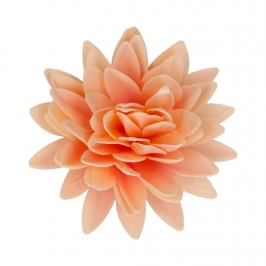 Flor de Papel Comestible Peonia Naranja Grande - Funcakes