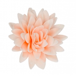 Flor de Papel Comestible Peonia Naranja Ombre Grande - Funcakes