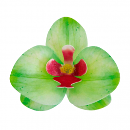 Flores De Oblea Orquidea Verde 10 ud - Dekora