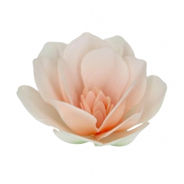 Flores de Papel Comestible Magnolia Blanca Grande 6 ud - Funcakes