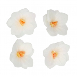 Flores de Papel Comestibles Hortensia Blanca Pequeña 18 ud
