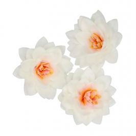 Flores de Papel Comestibles Loto Blanca Mediana 10 ud - Funcakes