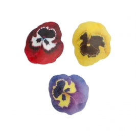 Flores de Papel Comestibles Mix Pensamiento Pequeña 30 ud
