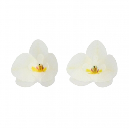 Flores De Papel Comestibles Funcakes - Orquidea Blanca Mediana