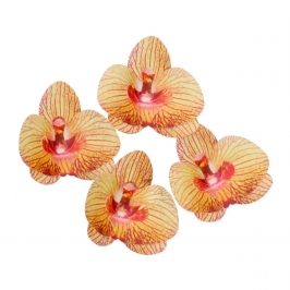 Flores de Papel Comestibles Orquídea Marrón / Dorada Mediana 10 ud