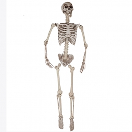 Esqueleto Colgante 1,65 m