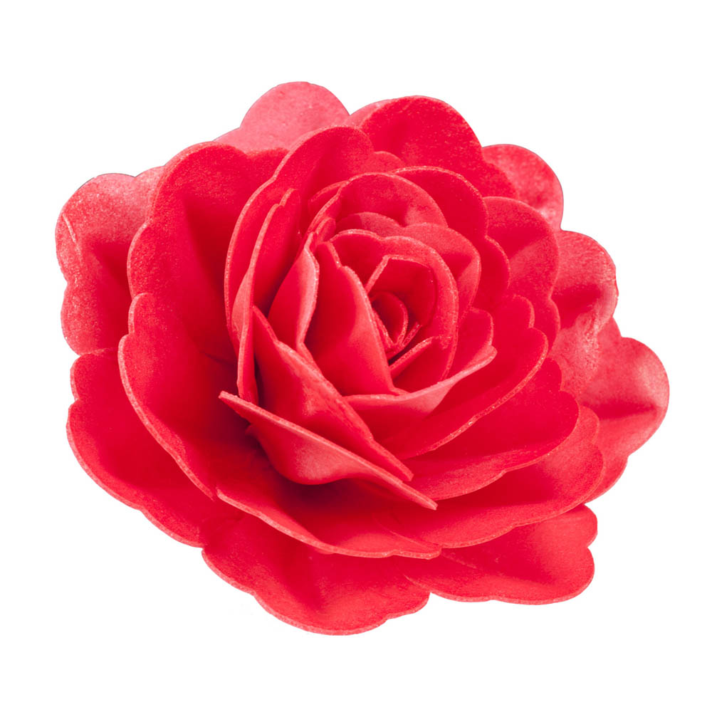 Pajitas Papel Flores Rosas 100 Unidades - utensilioscocteleria