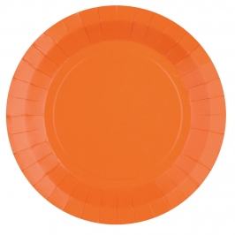 Juego de 10 Platos Naranjas 22,5 cm