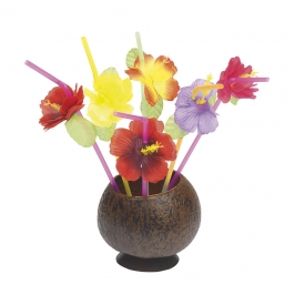 Juego de 12 Pajitas Flores Hawaianas