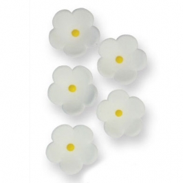 Juego de 30 flores blancas de azúcar PME