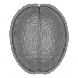 Molde Plástico Cerebro 25 cm