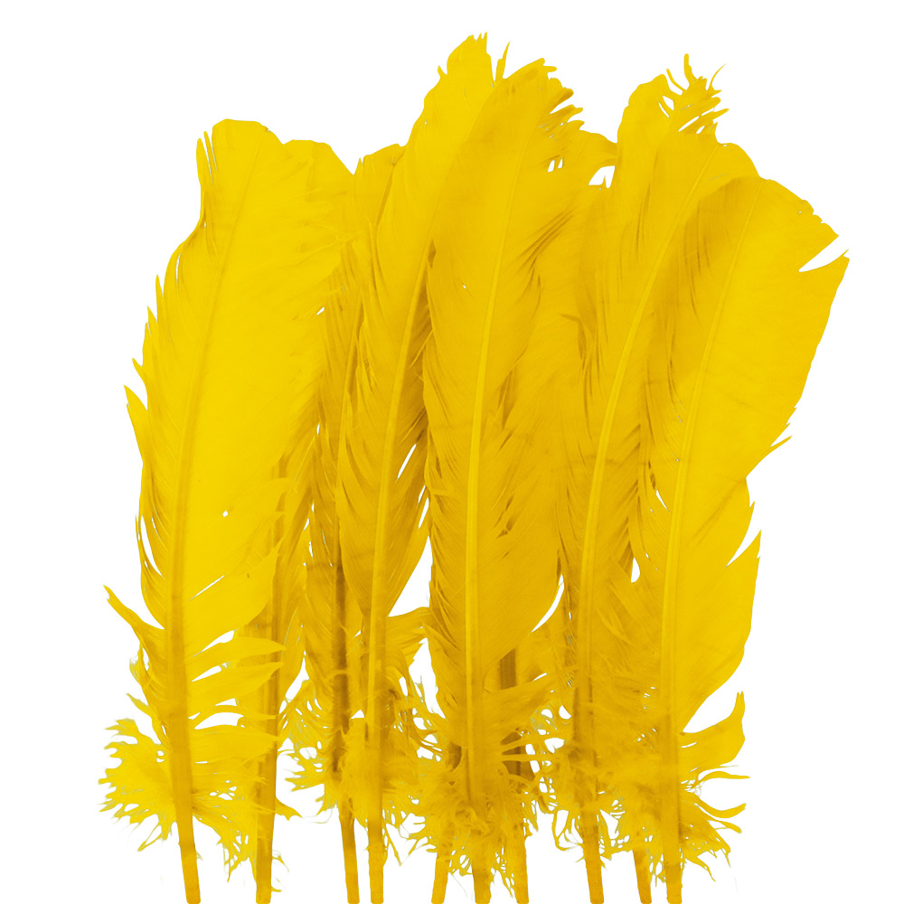 Juego de 10 Plumas Amarillas 20 cm