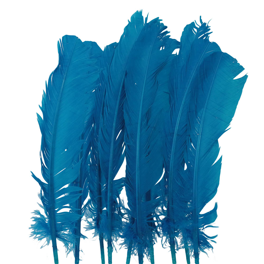 Set de 10 Plumas Azules 20 cm