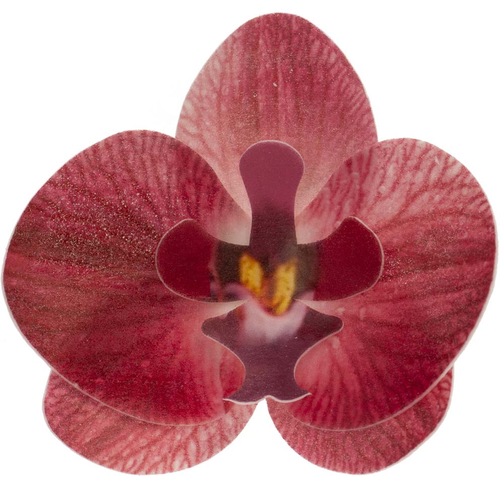 Set de 10 Orquídeas de Oblea Burdeos 8 cm