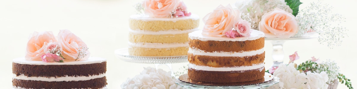 Moldes Layer Cake Moldes Layer Cake
