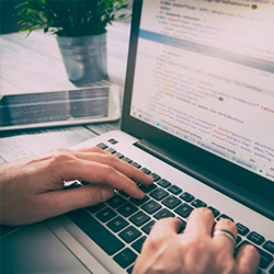 Programación Web