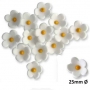 Juego de 50 flores Blancas comestibles JEM