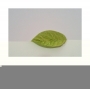 Marcador de nervaduras Hoja Jazmín