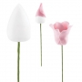 Bases de rosas 24 unidades