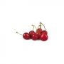 Aroma concentrado de Cereza