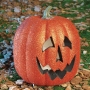 Calabaza Escarchada con Luz