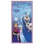 Decoración para puerta Frozen