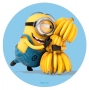 Disco de oblea minions 20cm modelo A