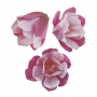 Magnolias de Oblea color Rosa 6 ud