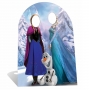 Photocall Frozen Infantil 130 cm