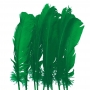 Juego de 10 Plumas Verdes 20 cm