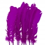 Juego de 10 Plumas Lilas 20 cm