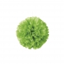 pompón en color verde lima para decorar