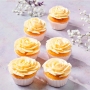 Preparado para Crema de Merengue Suiza 400 gr