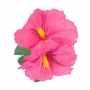 Clip para el Pelo Hawaiano Hibiscus Rosa
