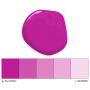 Colorante Liposoluble Fucsia 20 ml - Colour Mill