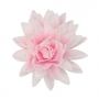 Flor de Papel Comestible Peonia Rosa Ombre Grande - Funcakes Flor de Papel Comestible Peonia Rosa Ombre Grande - Funcakes