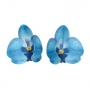 Flores de Papel Comestibles Orquídea Azul Mediana 10 ud - Funcakes Flores de Papel Comestibles Orquídea Azul Mediana 10 ud - Funcakes