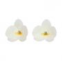 Flores De Papel Comestibles Funcakes - Orquidea Blanca Mediana Flores De Papel Comestibles Funcakes - Orquidea Blanca Mediana