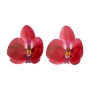 Flores de Papel Comestibles Orquídea Roja Mediana 10 ud - Funcakes Flores de Papel Comestibles Orquídea Roja Mediana 10 ud - Funcakes