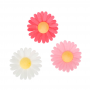 Flores de Papel de Oblea Margaritas 13 ud - Funcakes Flores de Papel de Oblea Margaritas 13 ud - Funcakes