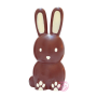 Molde para Chocolate Conejo 3D -  Scrapcooking