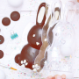 Molde para Chocolate Conejo 3D -  Scrapcooking